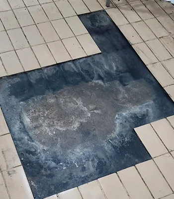 Imagem 29 - Projeto realizado