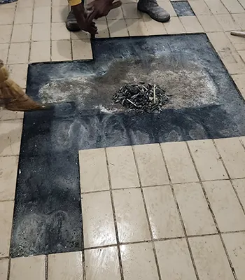 Imagem 30 - Projeto realizado